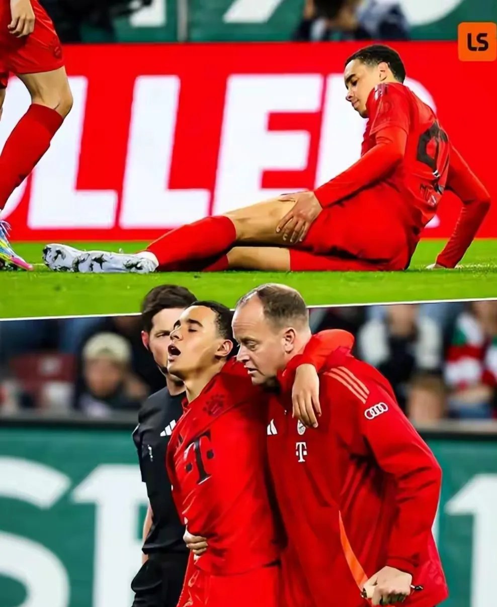 包含冲刺阶段拜仁慕尼黑备战荷甲，复出首秀细节曝光，态度坚定，训练强度明显提升的词条